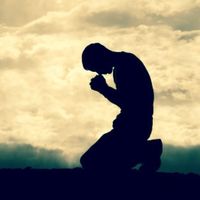 servo_da_orelha_furada