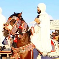 الصوت الأصلي