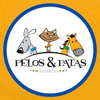 pelosypatasspa1
