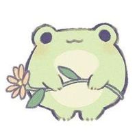 sunset_frog.studio