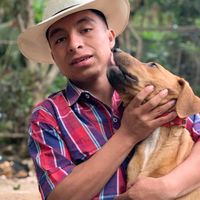 cristian.jimenez19