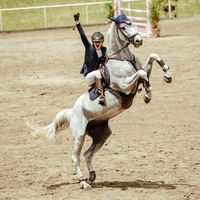 Moment vs the photo jujuholmes_