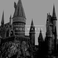 harry.potter.povs.01