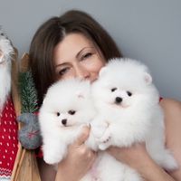 tinyvinnykennel