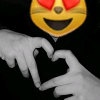 dimultikd