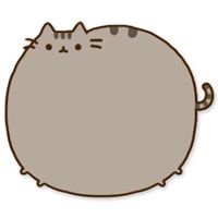 pusheen_love228
