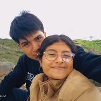 _yadi2409