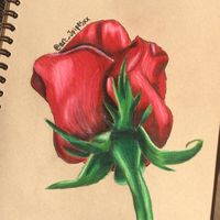 art_jemimah