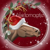 sso.tomaatje