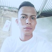 user17163400708320