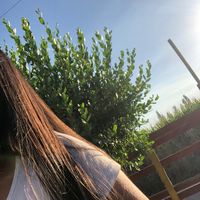 ignacia_fuentes09