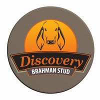 discoverybrahmans