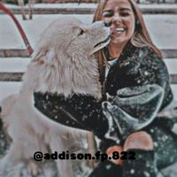 addidon.reeee