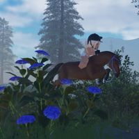 stridwaywith_renesmae