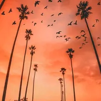 original sound - castrocorderojc