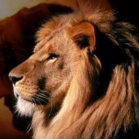 abencoado.por.deus11