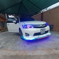 crazyartke