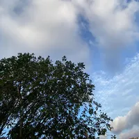 original sound - goodvibes0009