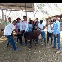 agronomia63