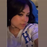 greysii504