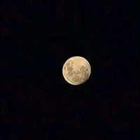 lua_chora