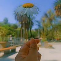 seira_ruiz242