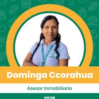 dominga.cc