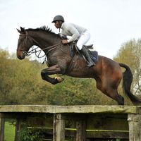 antonio_lmao_mcintosh