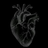 andrewjesusmotarojas12