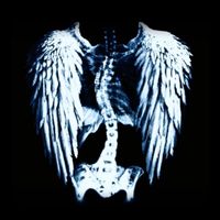 droownedinyoursilence