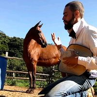 rancho.demirzinho