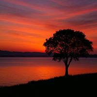 virginiamachucalvst11