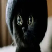 original sound - ovocngen