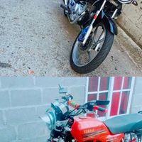 sandres689