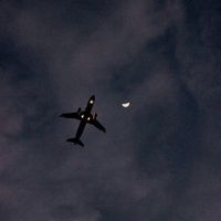 segni_zodiacali44