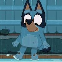 max.the.short.cat