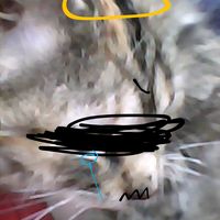 della_aser