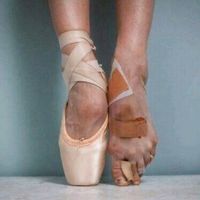 ant_i.a_ana