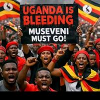 trainermiswiiba256ug