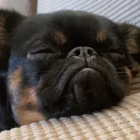 original sound - hflava