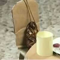 theoneandonlypenguini9