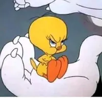 original sound - 4correasilva