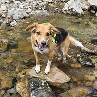 mai.the.aussie