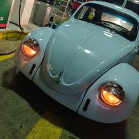 eduardomaya63