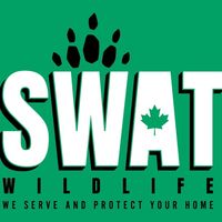 original sound - swatwildlife