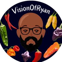 vision.of.ryan