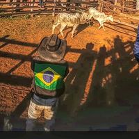 cowboyrb019