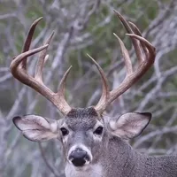 original sound - maaryy30_06