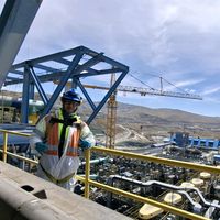 david.cardenas_inspector