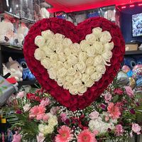 floreria_little_shark